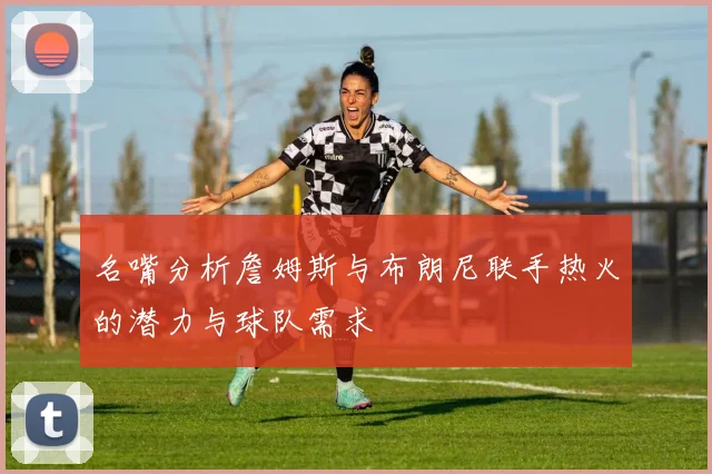 名嘴分析詹姆斯与布朗尼联手热火的潜力与球队需求